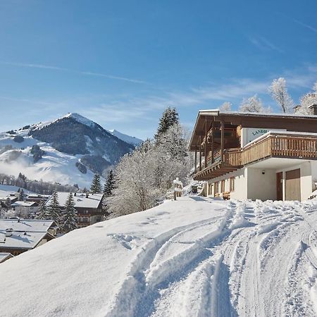 Almhuette Auszeit Saalbach-Hinterglemm Dış mekan fotoğraf